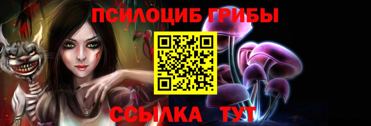 Галлюциногенные грибы MAGIC MUSHROOMS  Вход с VPN  Тимашёвск 